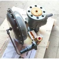 美國fisher費(fèi)希爾1098-EGR/3寸300RF調(diào)壓閥